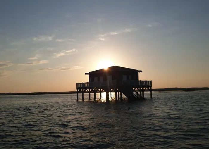 La Caza Cozy * La Teste-de-Buch