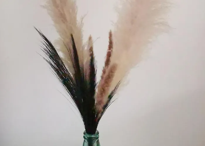 펜션 La Caza Cozy 라테스트드뷔크